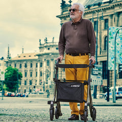 Dietz Taima M - GT Rollator Medium Green Metallic - Millercare