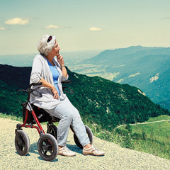 Dietz Taima Rollator XC - Millercare