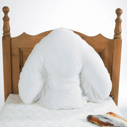 Harley Batwing Pillow - Various Options