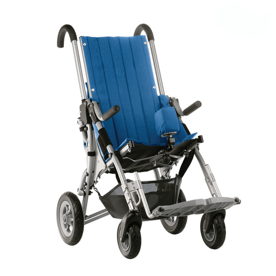 Lisa Rehab Buggy