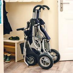 Lisa Rehab Buggy - Millercare