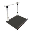 M-653 Wheelchair Scale with Folding Handrail