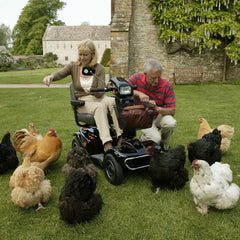 Rascal 388 XL Mobility Scooter - Millercare