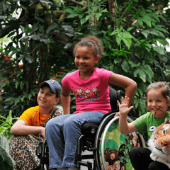 ZIPPIE Simba Rigid Wheelchair - Millercare