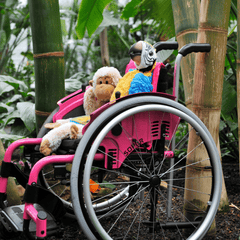ZIPPIE Simba Rigid Wheelchair - Millercare